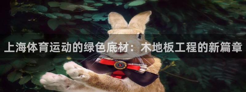 bsports官网 必一运动：上海体育运动的绿色底材：木地板工程的新篇章