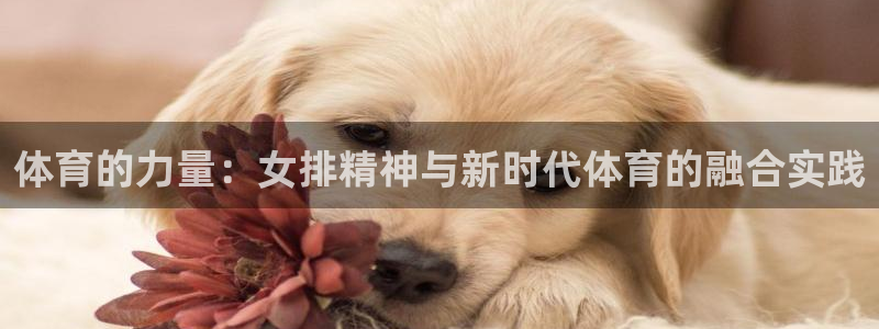 bsports必一运动：体育的力量：女排精神与新时代体育的融合实践