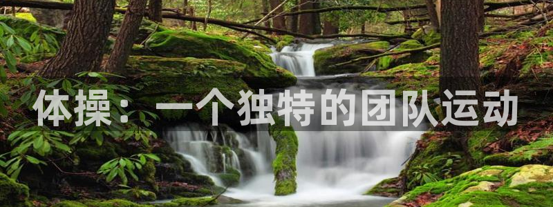 必一运动：体操：一个独特的团队运动
