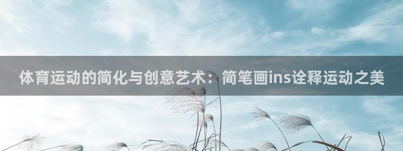 必一运动体育官网入口：体育运动的简化与创意艺术：简笔画ins诠释运动之美