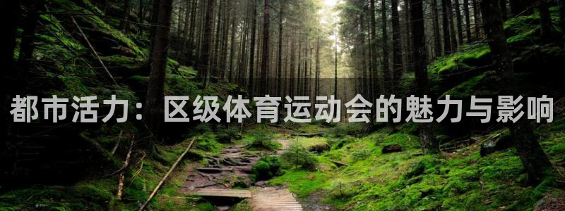 必一运动体育：都市活力：区级体育运动会的魅力与影响