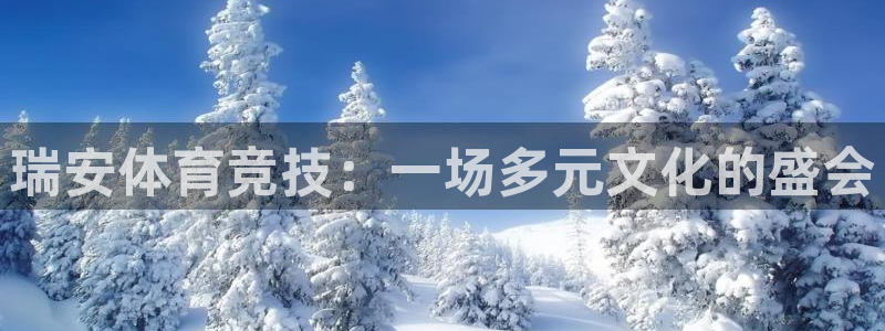 b体育必一运动官网：瑞安体育竞技：一场多元文化的盛会