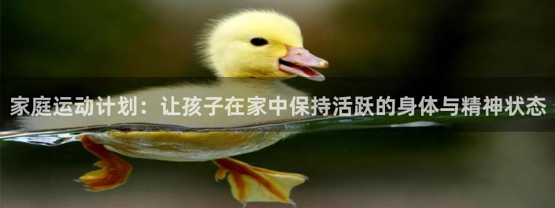 bsports必一运动：家庭运动计划：让孩子在家中保持活跃的身体与精神状态