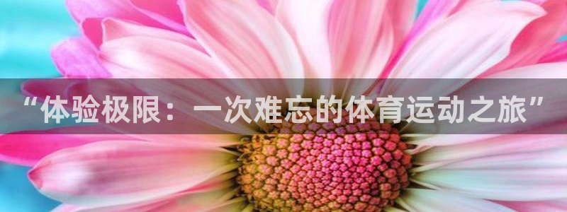 bsport必一运动：“体验极限：一次难忘的体育运动之旅”