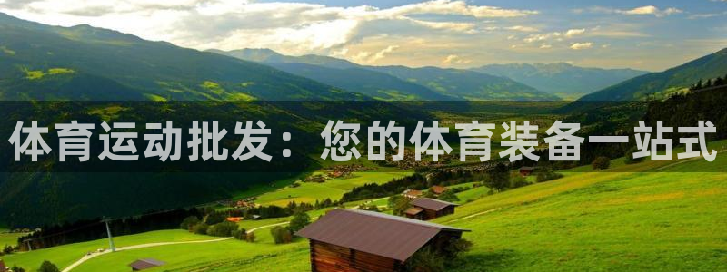 bsport必一运动：体育运动批发：您的体育装备一站式