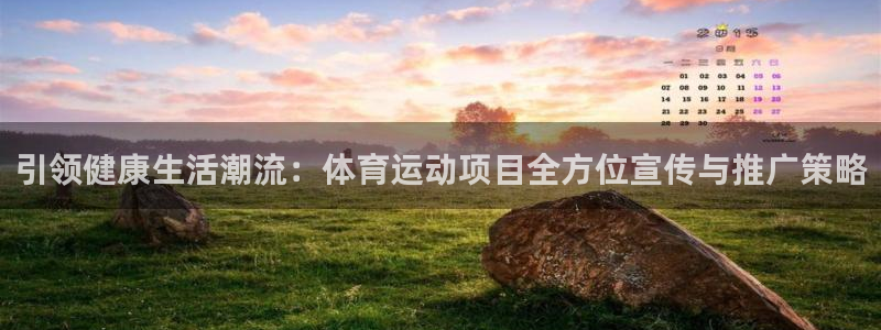 必一运动：引领健康生活潮流：体育运动项目全方位宣传与推广策略