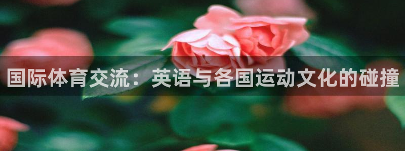 必一运动体育：国际体育交流：英语与各国运动文化的碰撞