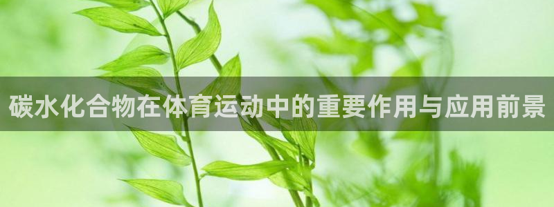 bsports必一运动：碳水化合物在体育运动中的重要作用与应用前景