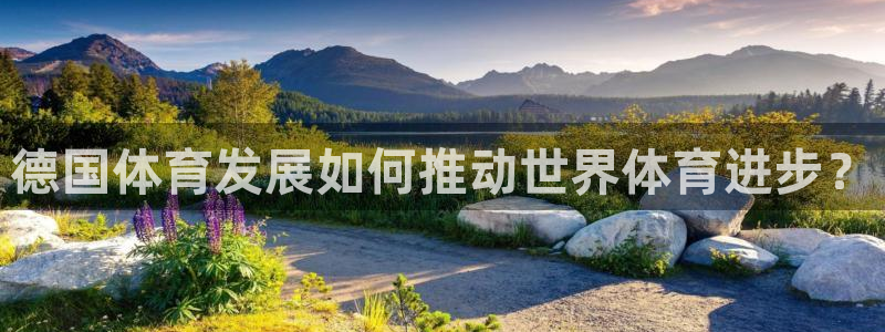 必一运动：德国体育发展如何推动世界体育进步？