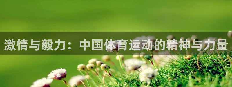 bsports必一运动：激情与毅力：中国体育运动的精神与力量